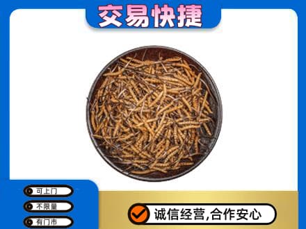 德州礼品回收虫草.jpg
